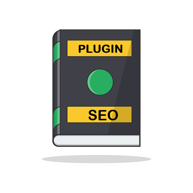 Plugin SEO