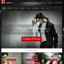 WordPress Theme