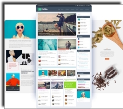 WordPress Theme